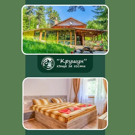 - крушун Гостевой дом 3*